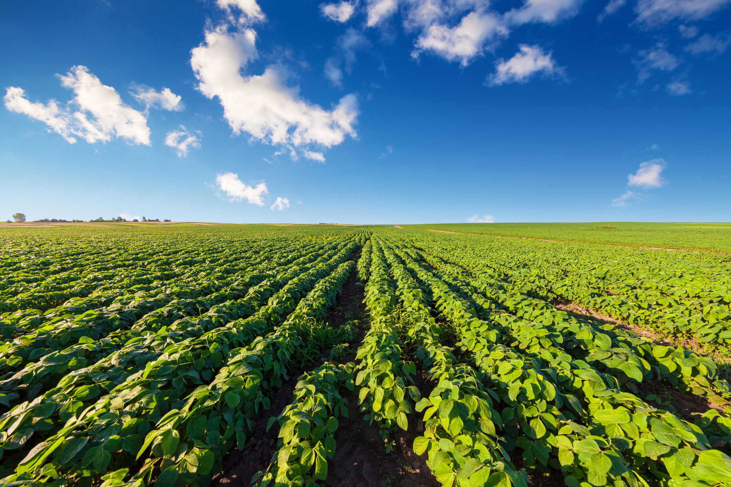 Planejamento da pesquisa