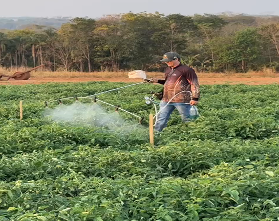 Captura de tela 2025-07-20 183524